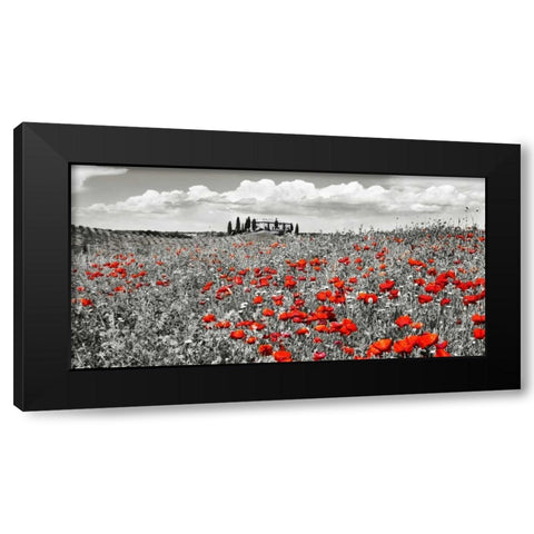 Farm house with cypresses and poppies, Tuscany, Italy Black Modern Wood Framed Art Print by Krahmer, Frank