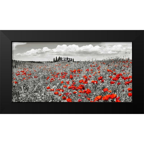 Farm house with cypresses and poppies, Tuscany, Italy Black Modern Wood Framed Art Print by Krahmer, Frank