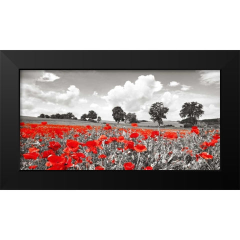 Poppies and vicias in meadow, Mecklenburg Lake District, Germany Black Modern Wood Framed Art Print by Krahmer, Frank