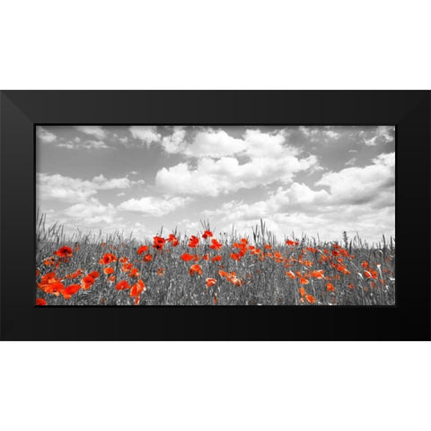 Poppies in corn field, Bavaria, Germany Black Modern Wood Framed Art Print by Krahmer, Frank