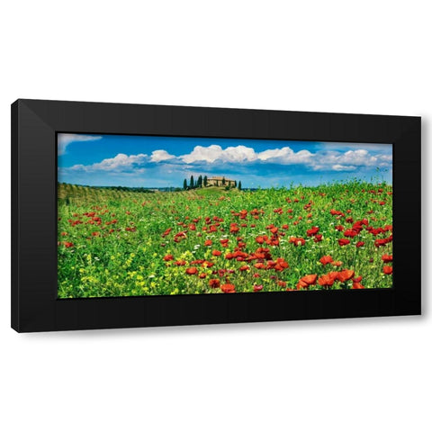 Farm house with cypresses and poppies, Tuscany, Italy Black Modern Wood Framed Art Print with Double Matting by Krahmer, Frank