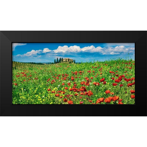 Farm house with cypresses and poppies, Tuscany, Italy Black Modern Wood Framed Art Print by Krahmer, Frank