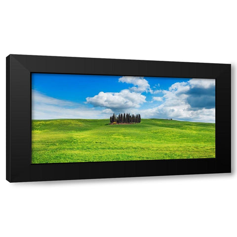 Cypresses- Val dOrcia- Tuscany (detail) Black Modern Wood Framed Art Print by Krahmer, Frank