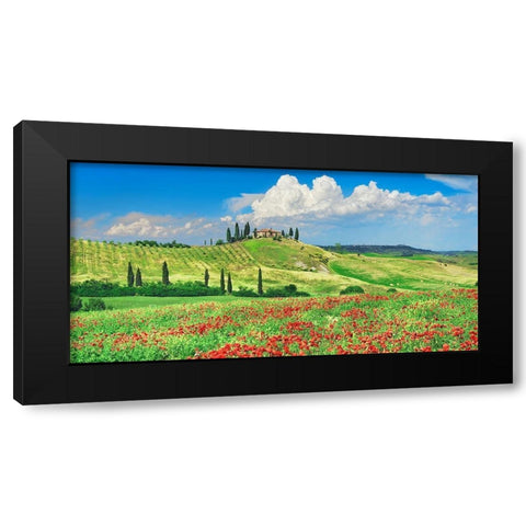 Farmhouse with Cypresses and Poppies- Val dOrcia- Tuscany  Black Modern Wood Framed Art Print by Krahmer, Frank