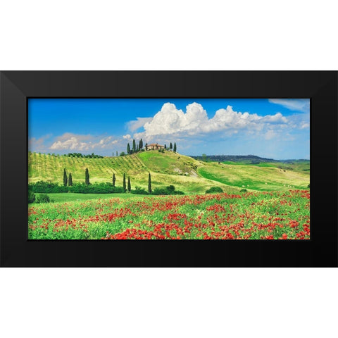 Farmhouse with Cypresses and Poppies- Val dOrcia- Tuscany  Black Modern Wood Framed Art Print by Krahmer, Frank