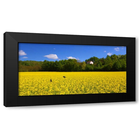 Volo di rondini Black Modern Wood Framed Art Print with Double Matting by Ferrua, Fulvio