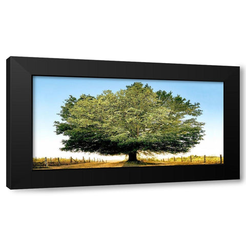 Un secolo di tramonti Black Modern Wood Framed Art Print by Fulvio, Ferrua
