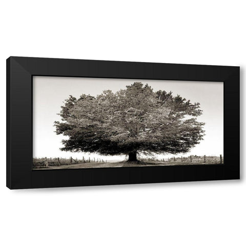 Un secolo di tramonti (BW) Black Modern Wood Framed Art Print with Double Matting by Fulvio, Ferrua
