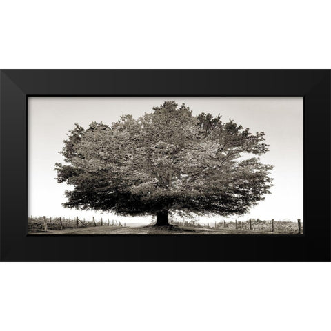 Un secolo di tramonti (BW) Black Modern Wood Framed Art Print by Fulvio, Ferrua