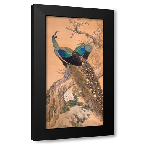 A Pair of Peacocks in Spring Black Modern Wood Framed Art Print with Double Matting by Imao KeinenImao, Keinen