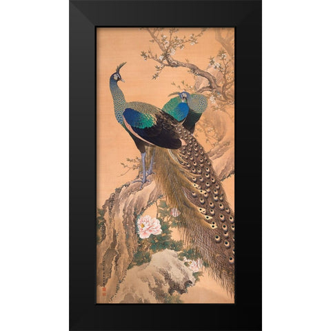 A Pair of Peacocks in Spring Black Modern Wood Framed Art Print by Imao KeinenImao, Keinen