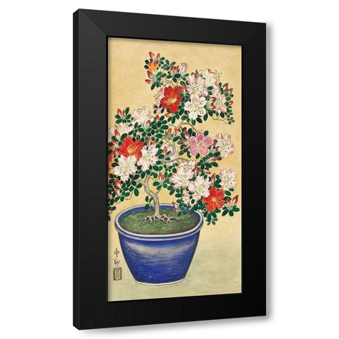 Blooming azalea in blue pot Black Modern Wood Framed Art Print by Koson, Ohara
