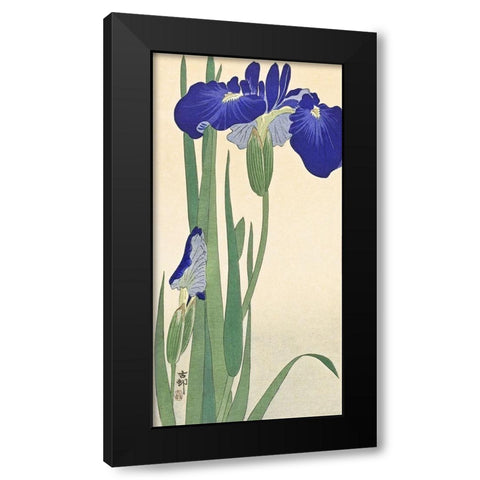 Irises Black Modern Wood Framed Art Print by Koson, Ohara