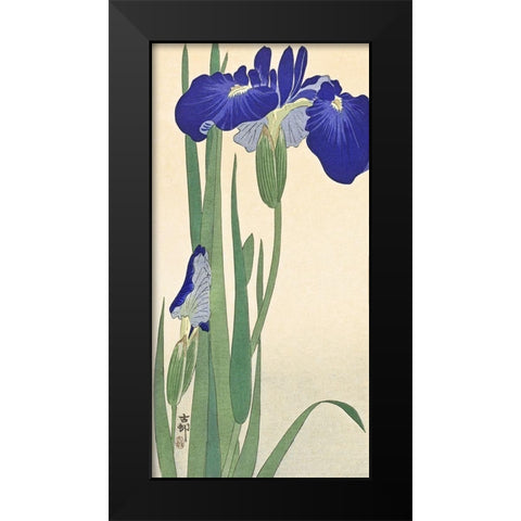 Irises Black Modern Wood Framed Art Print by Koson, Ohara
