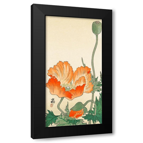 Poppies Black Modern Wood Framed Art Print with Double Matting by Koson, Ohara