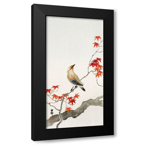 Japanese Jay on Maple Black Modern Wood Framed Art Print by Anonymous