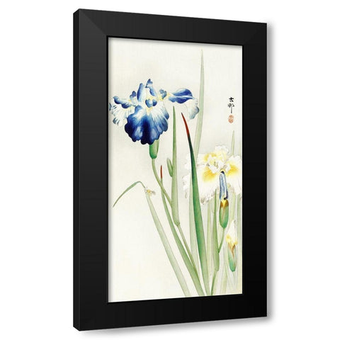 Irises Black Modern Wood Framed Art Print with Double Matting by Koson, Ohara