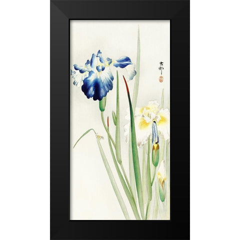 Irises Black Modern Wood Framed Art Print by Koson, Ohara