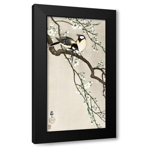 Tits on Cherry Branch Black Modern Wood Framed Art Print with Double Matting by Koson, Ohara