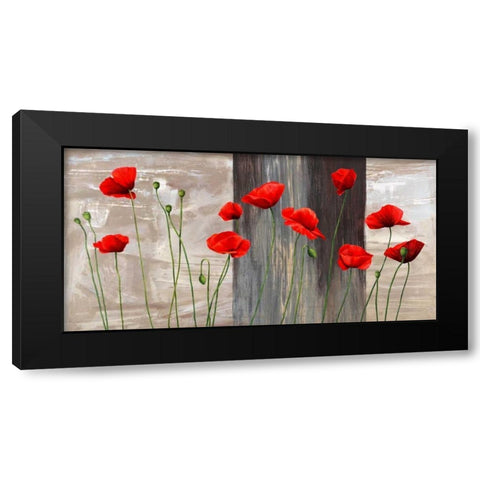Country Poppies Black Modern Wood Framed Art Print with Double Matting by Thomlinson, Jenny