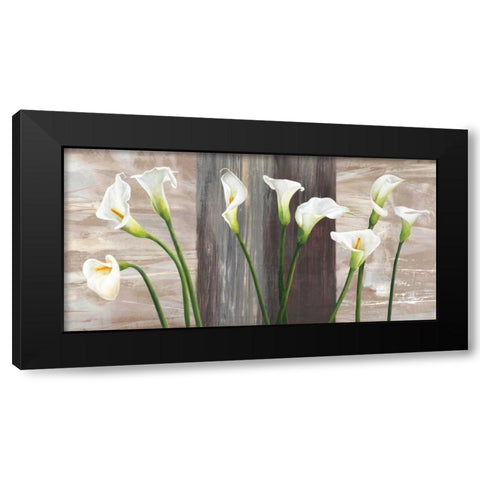 Country Callas Black Modern Wood Framed Art Print with Double Matting by Thomlinson, Jenny