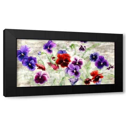 Field of Pansies Black Modern Wood Framed Art Print with Double Matting by Thomlinson, Jenny