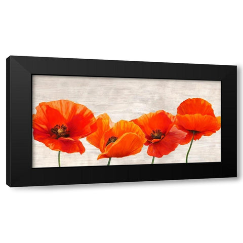 Bright Poppies Black Modern Wood Framed Art Print by Jenny, Thomlinson