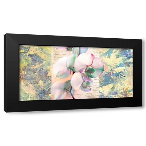 Kaleidoscope Orchid Black Modern Wood Framed Art Print with Double Matting by Kelly, Parr