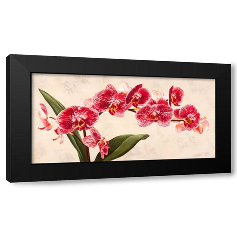 Purple Queens Black Modern Wood Framed Art Print with Double Matting by Villa, Luca