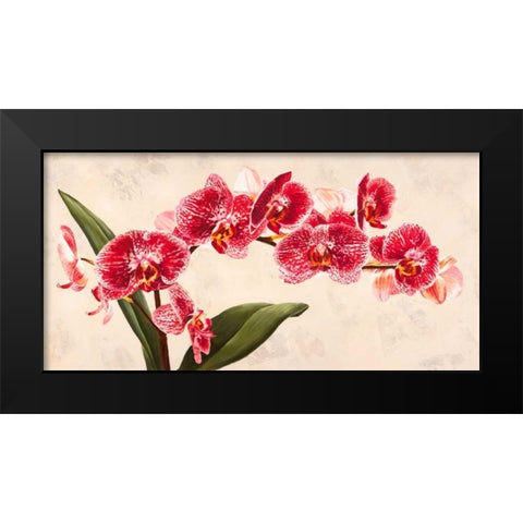 Purple Queens Black Modern Wood Framed Art Print by Villa, Luca