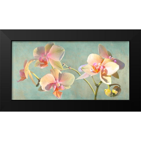 Jewel Orchids Black Modern Wood Framed Art Print by Villa, Luca