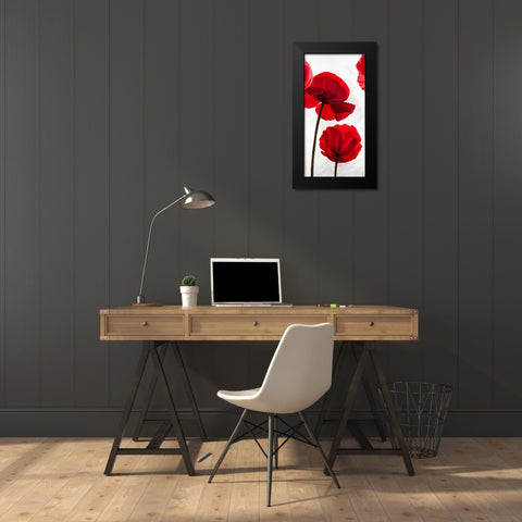 Reds II Black Modern Wood Framed Art Print by Villa, Luca