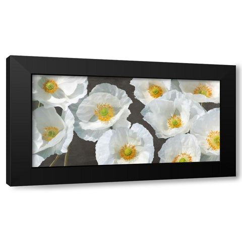 Poppy Arrangement (Chalkboard) Black Modern Wood Framed Art Print with Double Matting by Leonardo, Sanna