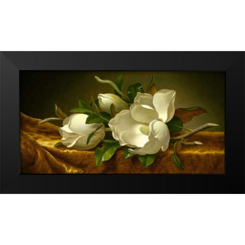Magnolias on Gold Velvet Cloth Black Modern Wood Framed Art Print by Heade, Martin Johnson