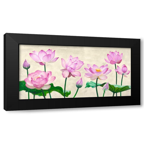 Lotus flowers Black Modern Wood Framed Art Print by Mills, Shin
