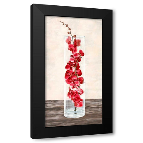 Arrangement of orchids Black Modern Wood Framed Art Print by Mills, Shin