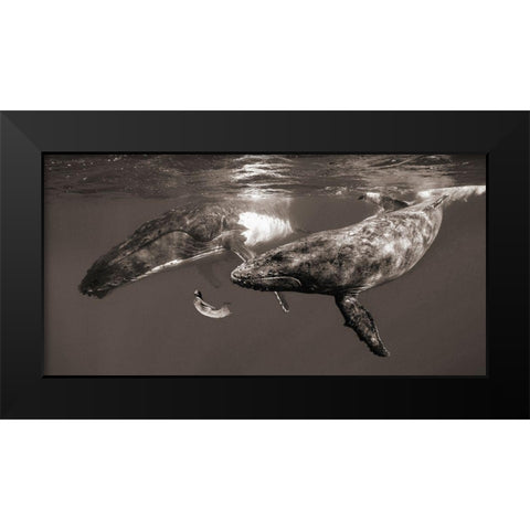 La Fille de la Mer Black Modern Wood Framed Art Print by Moreau, Marc