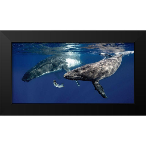 La Fille de la Mer (couleur) Black Modern Wood Framed Art Print by Moreau, Marc