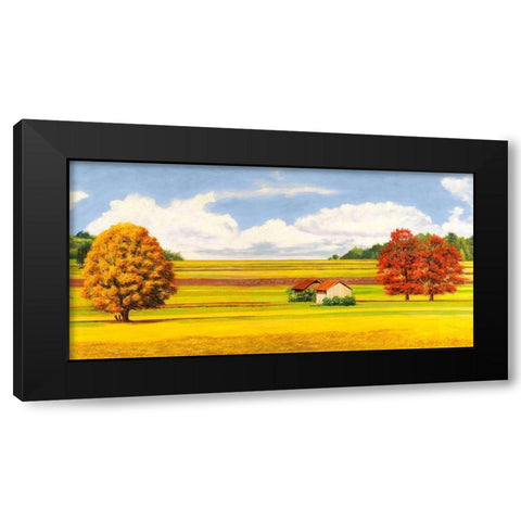 Pianure serene (detail) Black Modern Wood Framed Art Print by Angelo, Masera