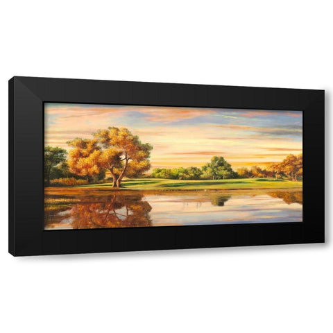 Riflessi sul lago Black Modern Wood Framed Art Print by Angelo, Masera