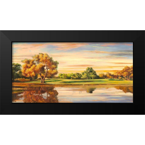 Riflessi sul lago Black Modern Wood Framed Art Print by Angelo, Masera