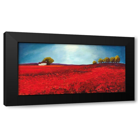 Field of poppies Black Modern Wood Framed Art Print with Double Matting by Bloom, Philip