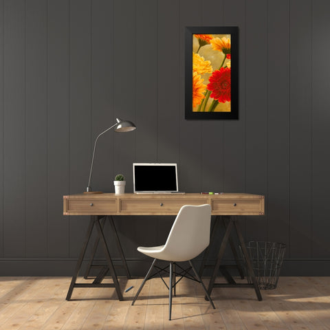 Gerbere nel sole II Black Modern Wood Framed Art Print by Biffi, Serena