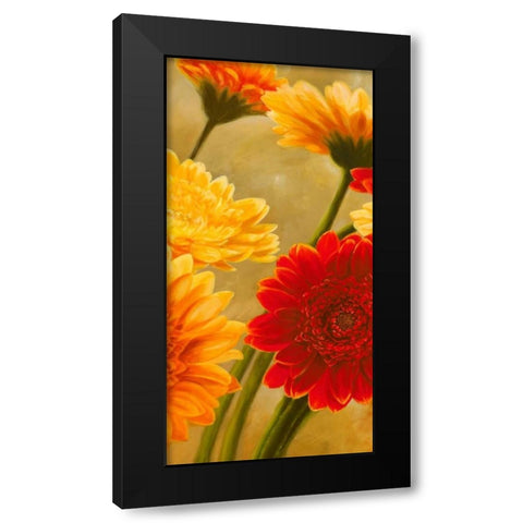 Gerbere nel sole II Black Modern Wood Framed Art Print with Double Matting by Biffi, Serena