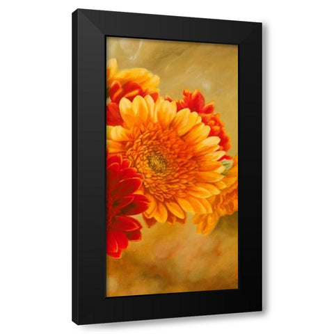 Gerbere nel sole III Black Modern Wood Framed Art Print with Double Matting by Biffi, Serena