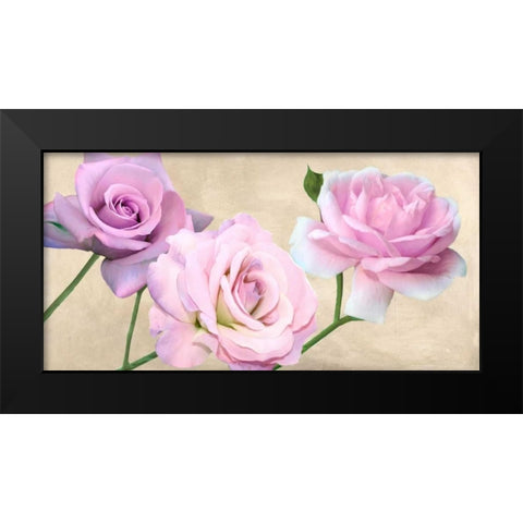 Rose classiche Black Modern Wood Framed Art Print by Biffi,  Serena