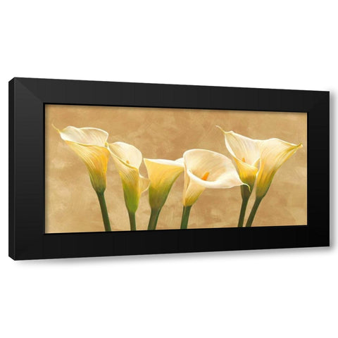 Calle bianche Black Modern Wood Framed Art Print with Double Matting by Biffi, Serena