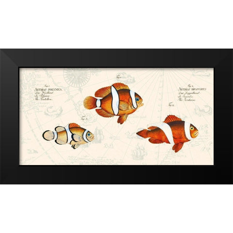 Tropical fish I- After Bloch Black Modern Wood Framed Art Print by Lamanche, Stef