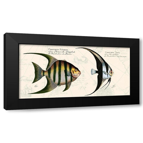 Tropical fish II-  After Bloch Black Modern Wood Framed Art Print by Lamanche, Stef
