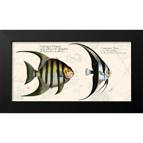 Tropical fish II-  After Bloch Black Modern Wood Framed Art Print by Lamanche, Stef